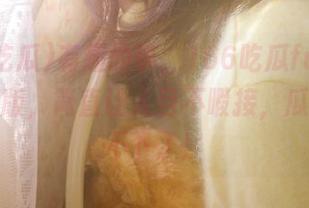 有趣的事，166吃瓜fun网址的网页版，简直让人目不暇接，瓜都快吃不下了！