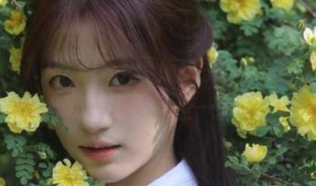 吃瓜51导航：解锁在线八卦新体验，吃瓜可真是一门艺术！