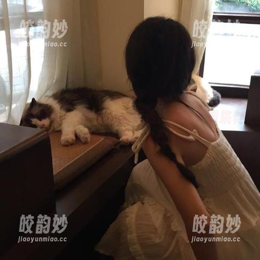 吃瓜网站直达：揭秘军训跳舞背后的酒吧乐趣，你想不到吧！