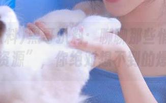 黑哥扒料：聊聊那些悄悄藏着的“资源”，你绝对想不到的爆点！