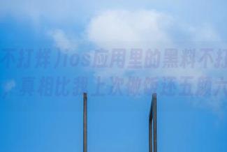 ios应用里的黑料不打烊166.su，真相比我上次做饭还五颜六色！